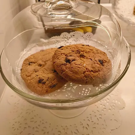 بيت ضيافة Philosofia