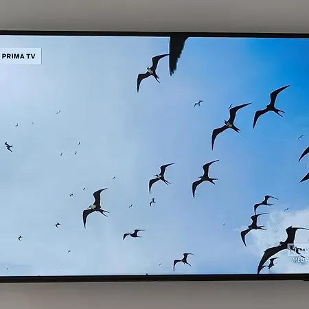 Pensión Philosofia Nápoles