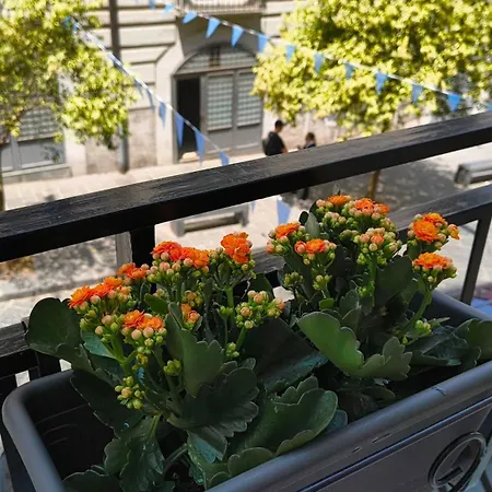 Philosofia בית הארחה